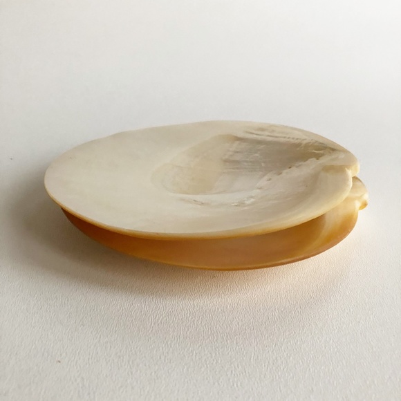 2 Natural Abalone Mother of Pearl Plates Palette M - Picture 6 of 8